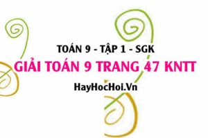 Giải Toán 9 trang 47 tập 1 Kết nối tri thức